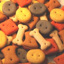 Pointer Mixed Biscuit Treats - 10kg- Dog Treats